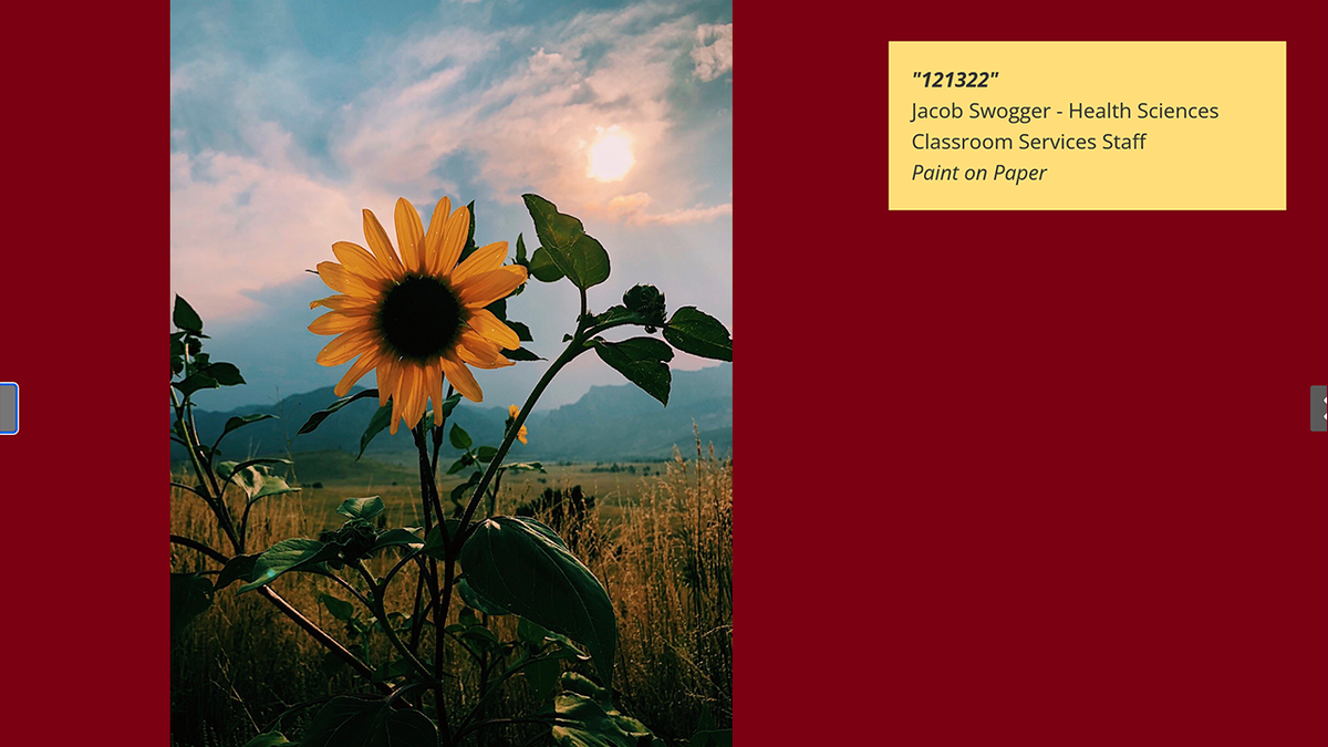 Sunflower Symphony by Maya Cheaitli